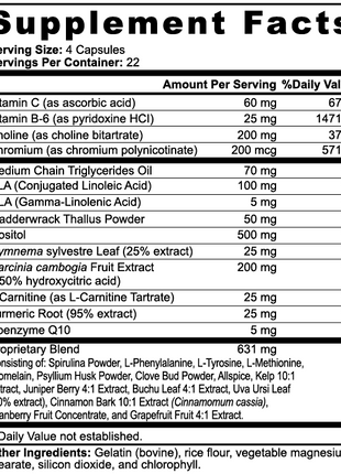 Thermo-MCT | Metabolic Support, Clean Energy & Thermogenesis - 90 Capsules